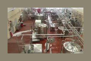 Ice-cream-Maker-Plant